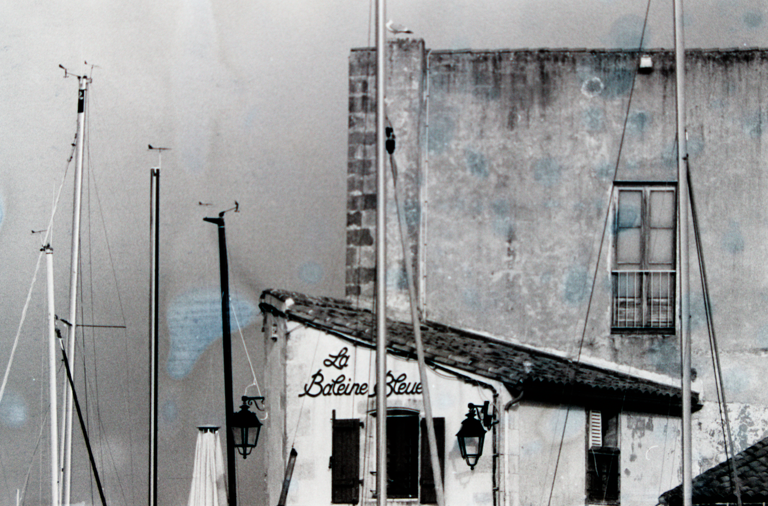 La Baleine bleue sur l'île de Ré