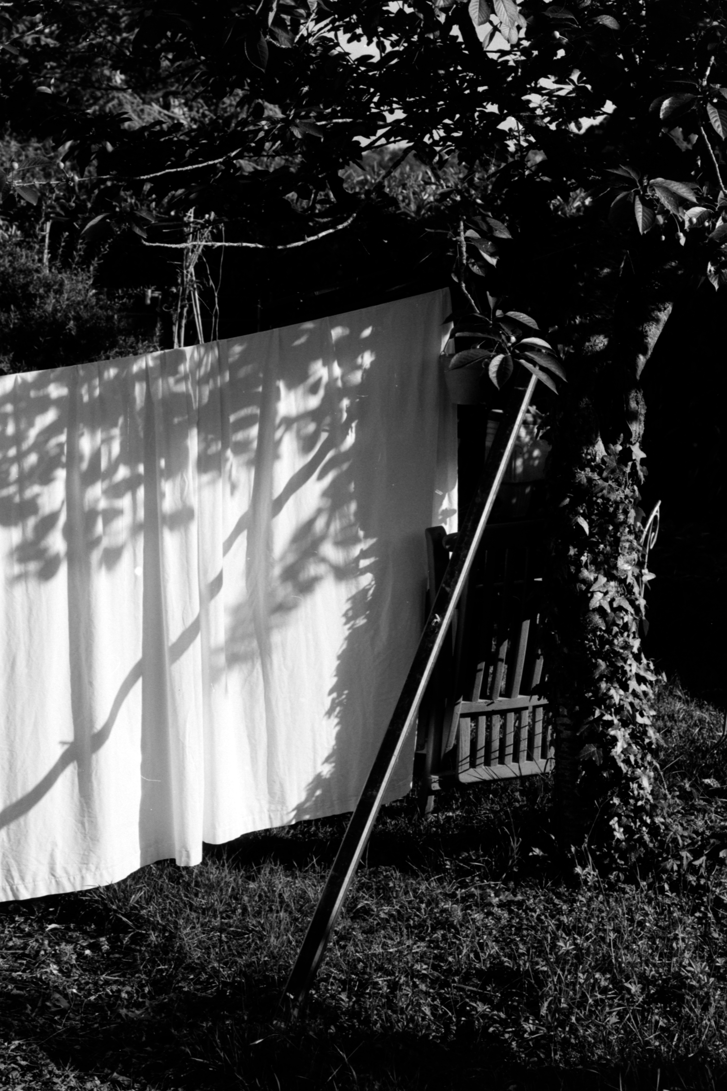 drap